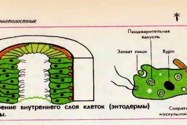 Kraken актуальное