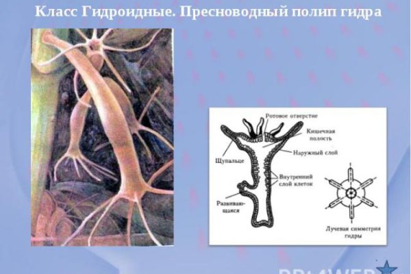 Кракен это современный маркетплейс